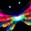 luz_2022